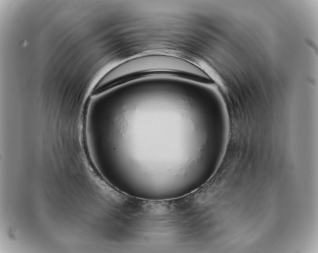 X0000091310955200708171412