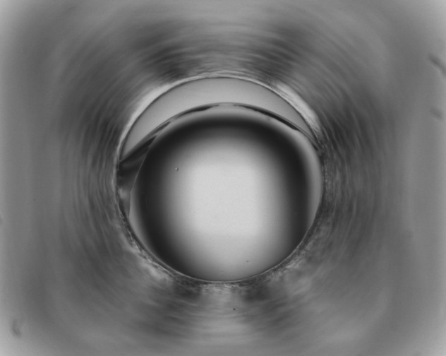 X0000091310956200708171412