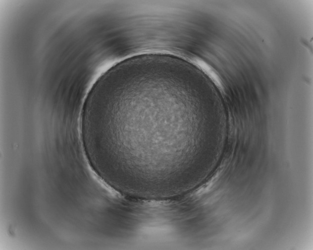 X0000091310958200708171412