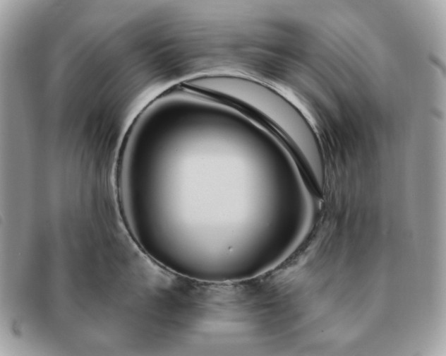 X0000091310959200708171412