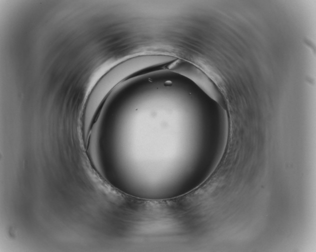 X0000091310960200708171412