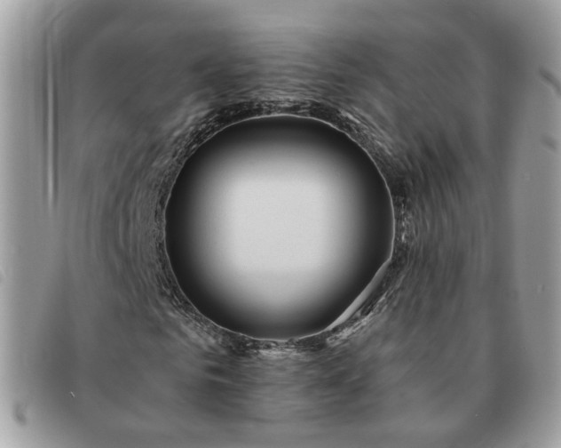 X0000091310961200708171412