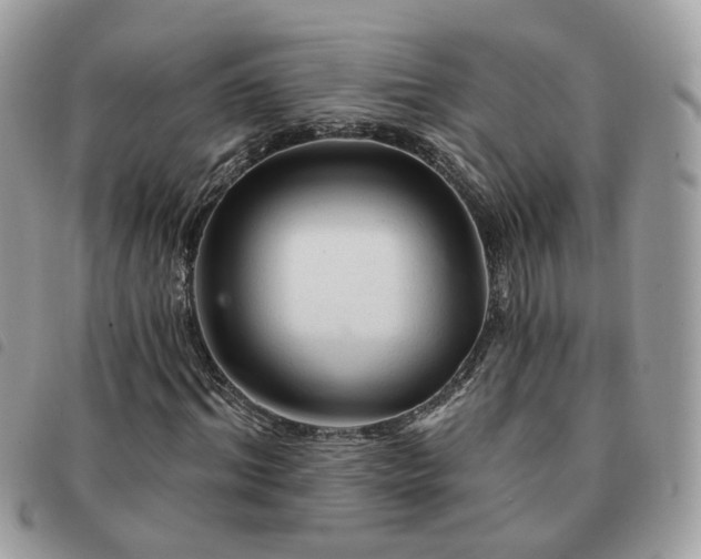 X0000091310964200708171412