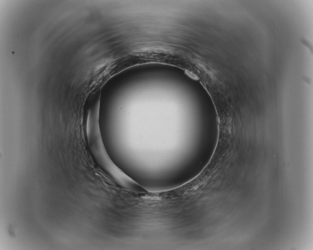 X0000091310965200708171412