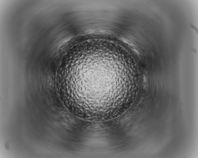 X0000091310966200708171412