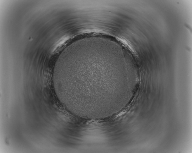 X0000091310967200708171412