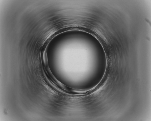 X0000091310969200708171412