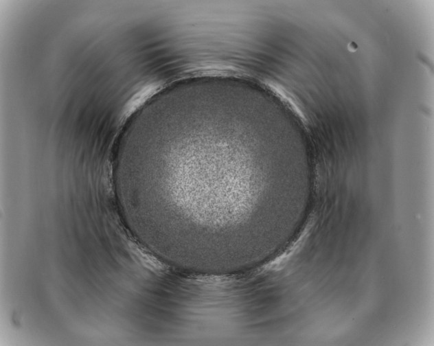 X0000091310970200708171412