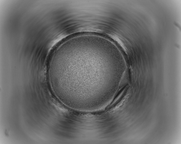 X0000091310971200708171412