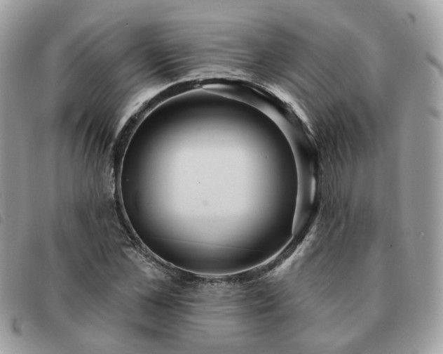 X0000091310973200708171412