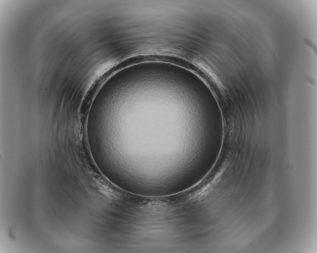 X0000091310974200708171412