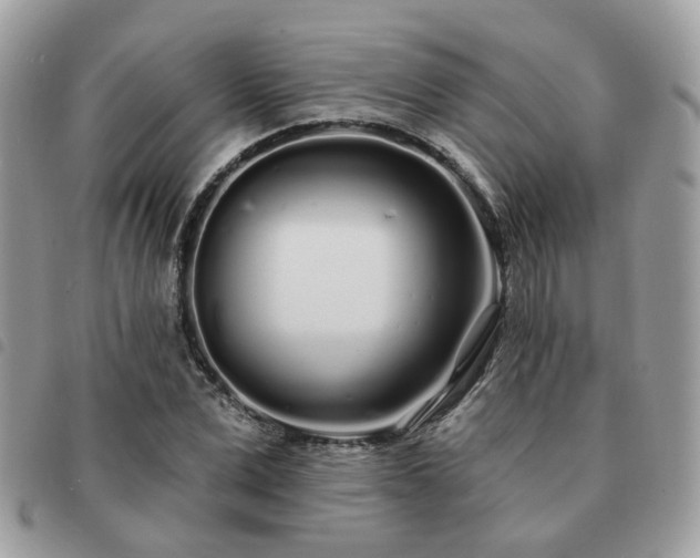 X0000091310975200708171412