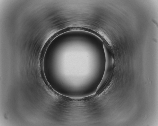 X0000091310976200708171412