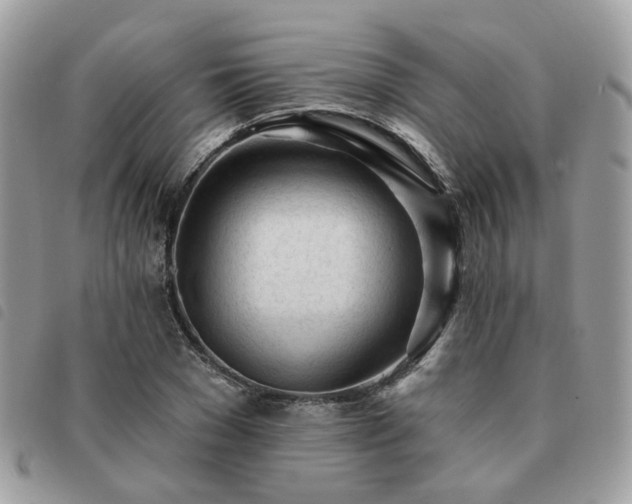 X0000091310977200708171412