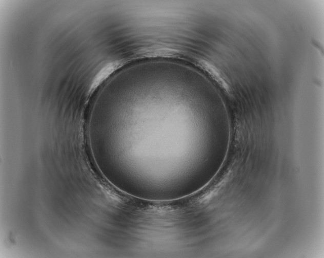 X0000091310978200708171412