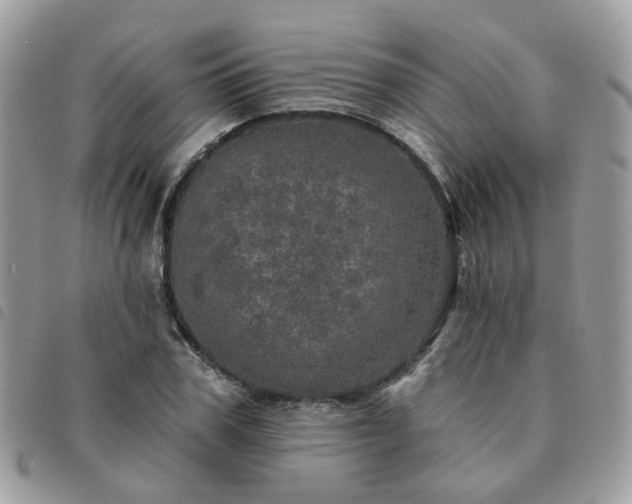 X0000091310979200708171412