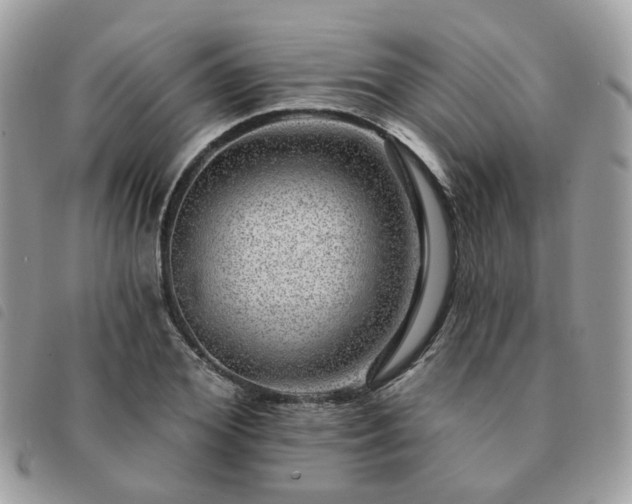 X0000091310980200708171412