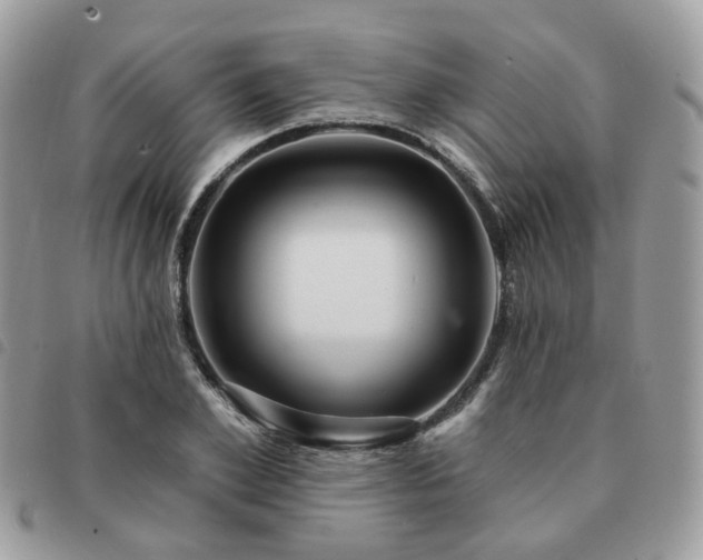 X0000091310981200708171412