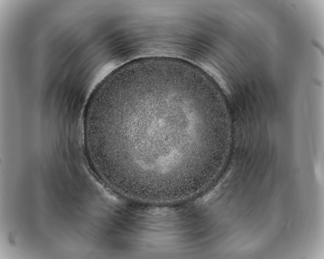 X0000091310982200708171411