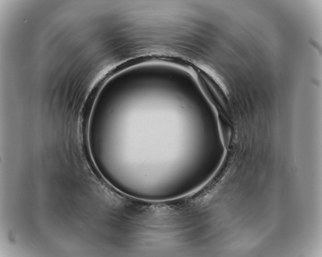 X0000091310983200708171411