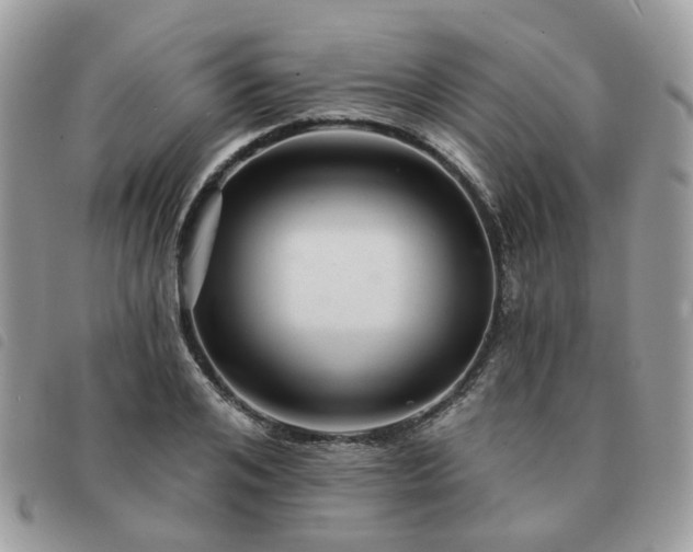 X0000091310984200708171411