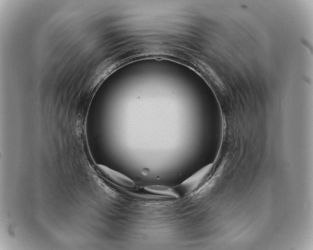 X0000091310985200708171411