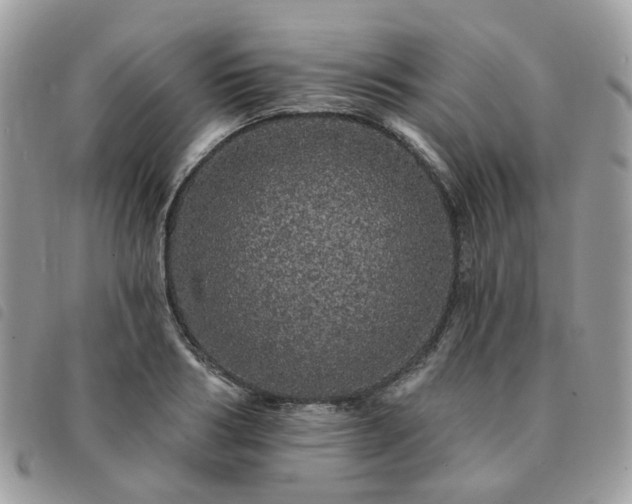 X0000091310986200708171411