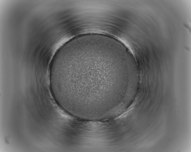 X0000091310987200708171411