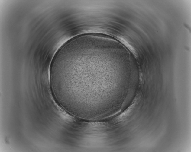 X0000091310988200708171411