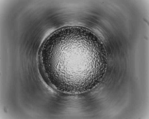 X0000091310990200708171411