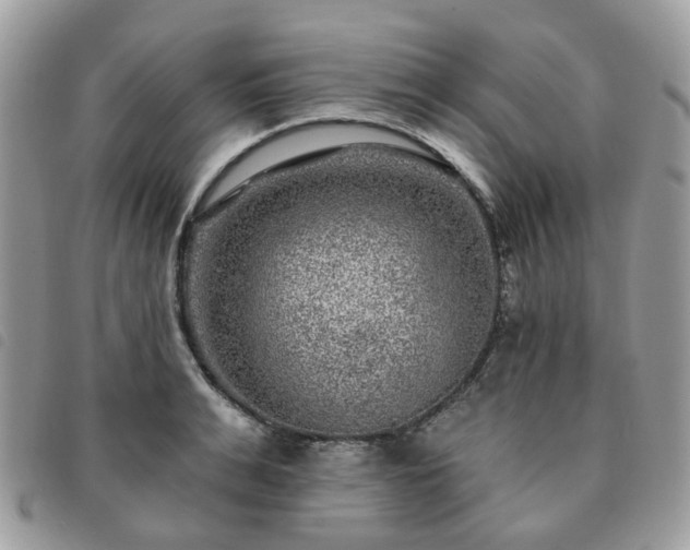 X0000091310991200708171411