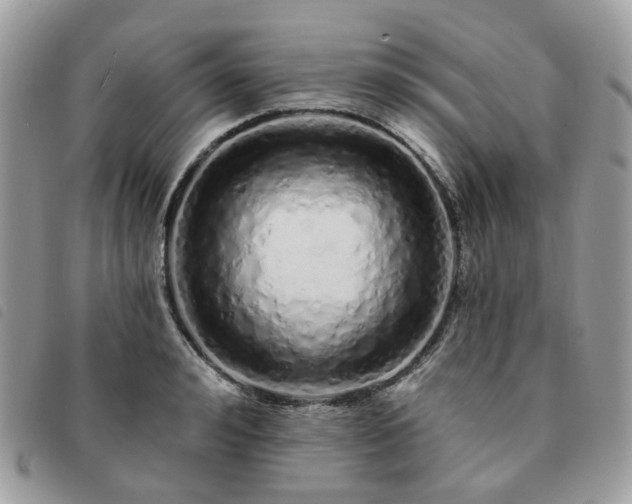 X0000091310992200708171411