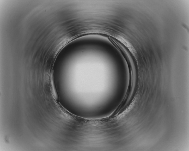 X0000091310993200708171411