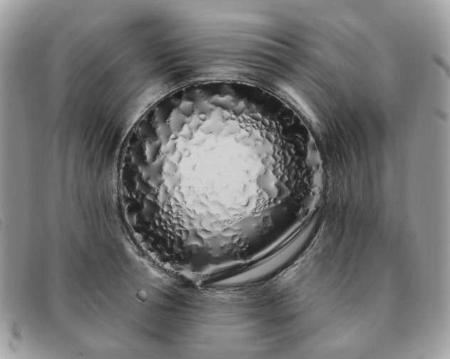 X0000091310994200708171411