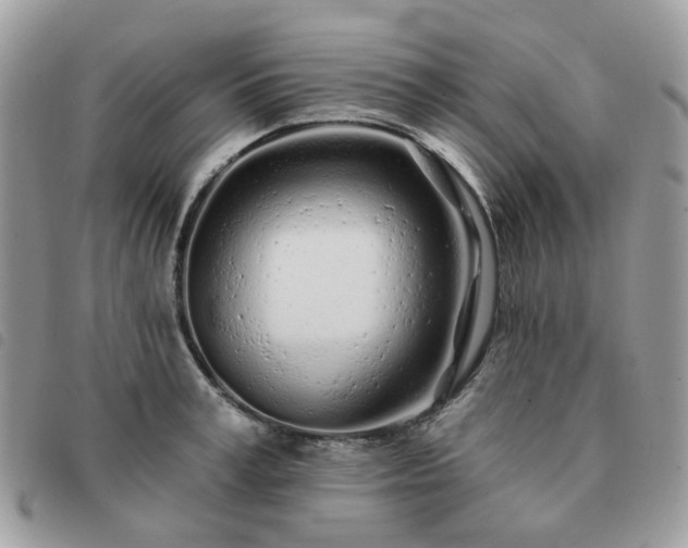 X0000091310995200708171411