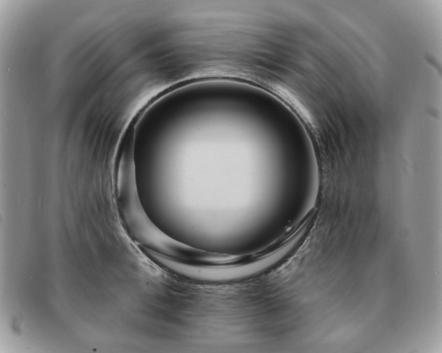 X0000091310996200708171411