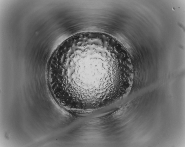 X0000091310998200708171411