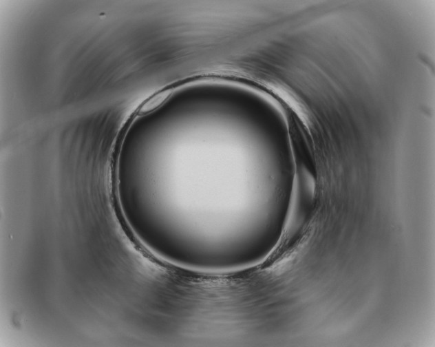 X0000091310999200708171411