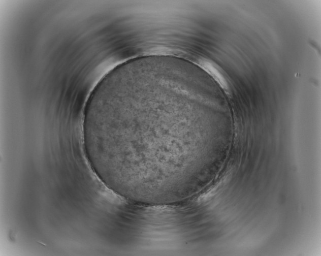 X0000091311000200708171411