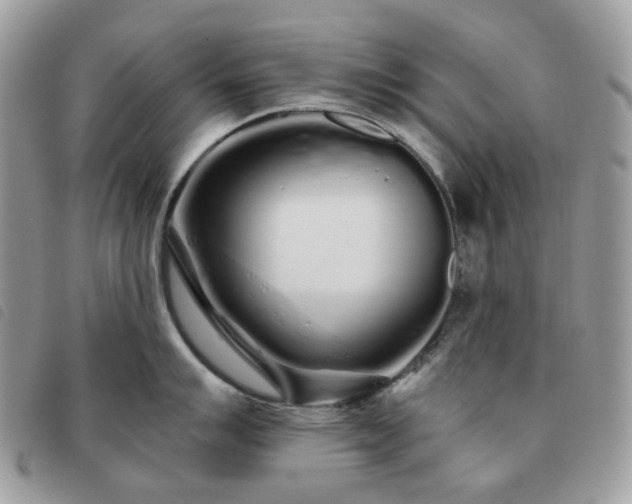 X0000091311007200708171411