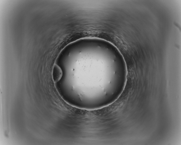 X0000091311009200708171410