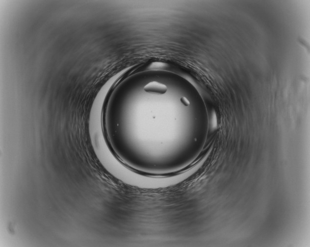 X0000091311010200708171410