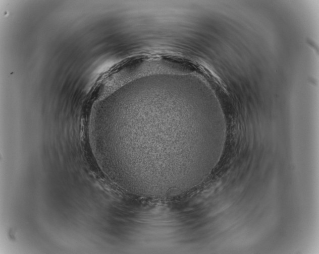 X0000091311016200708171410