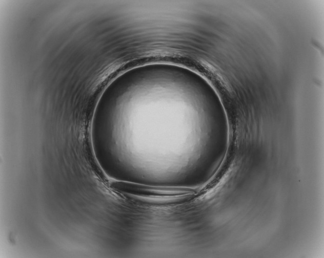 X0000091311017200708171410