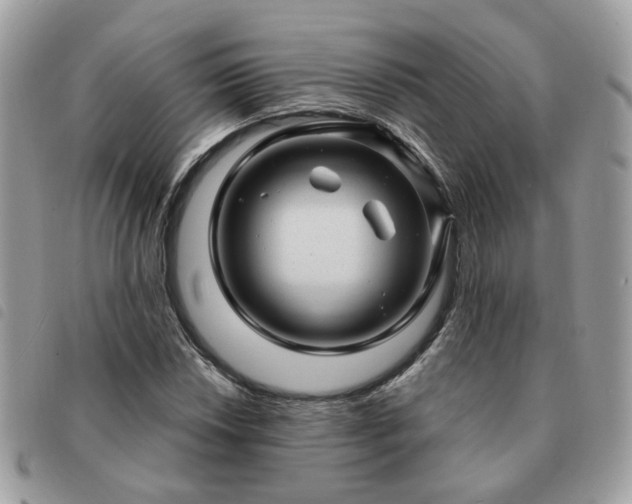 X0000091311018200708171410