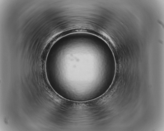 X0000091311019200708171410