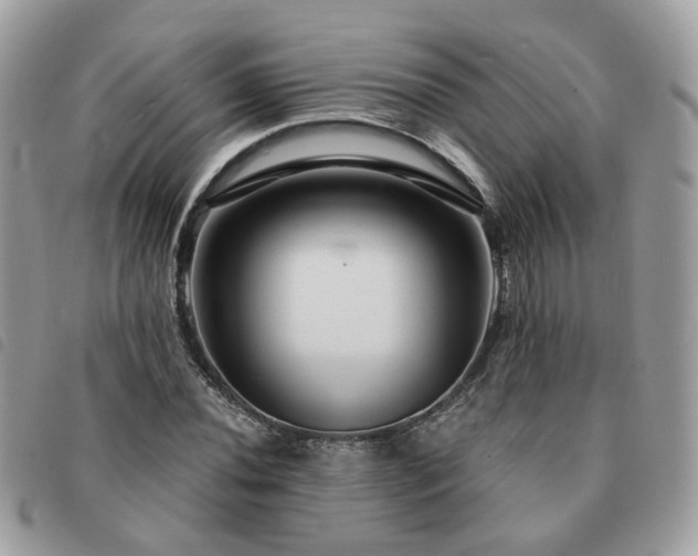 X0000091311020200708171410