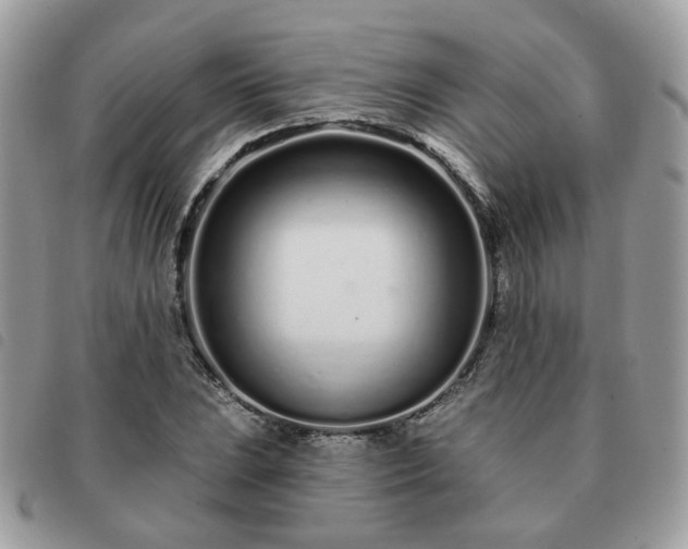 X0000091311023200708171410