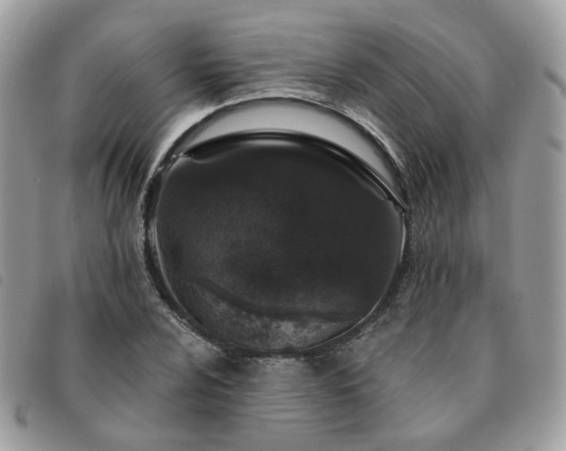 X0000091311024200708171411