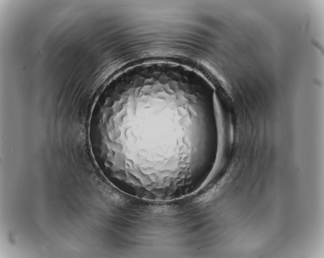 X0000091311025200708171411